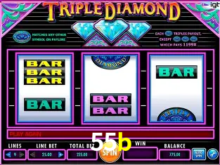 Apostas Esportivas na 55b: Um Guia Completo